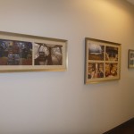 Hallway gallery at Dallas Jet International Offices in Colleyville TX